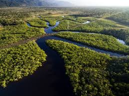 De Rio à l’Amazonie, top 3 des plus beaux endroits à visiter